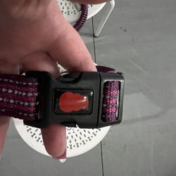Kong Waist Leash For Dog Walking 