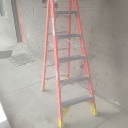 6 Ft Wiener Ladder $50