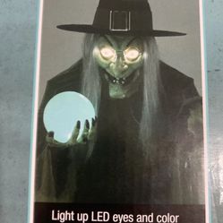 Halloween Witch 5ft Display LED Lights up Eyes and Color changing orb NEW in box