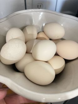 Fresh Eggs 🥚 $5 A Dozen…..$5 La Docena