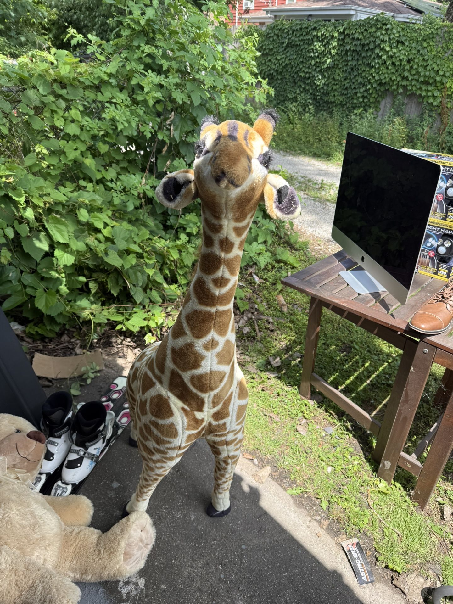 Giant stuffed Giraffe