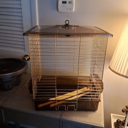 Bird Cage 