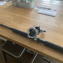 Penn 310 GTI Reel w/ Penn Slammer Boat Rod 