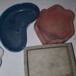 Reptile Dishes