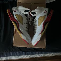 Air Jordan 5s