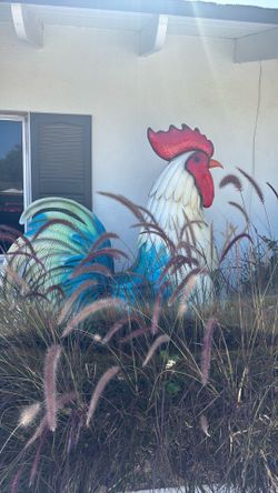 Rooster collection