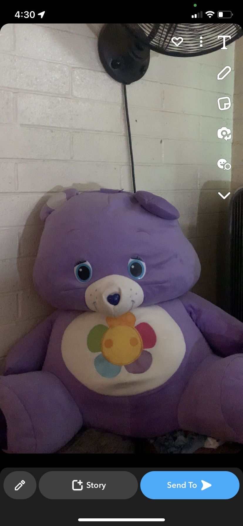 GIANT CARE BEAR