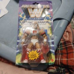 WWE Master Of The Universe