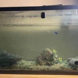 55 Gallon Aquarian 