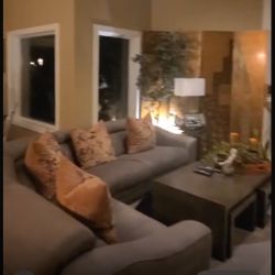 Sectional  (Extendable headrest / electric recliner)