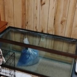 75 Gallon Acrylic Tank 