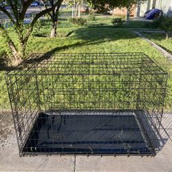 Dog Crate 