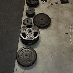 Weights  (Standard)