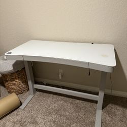 Adjustable Standing Desk, White
