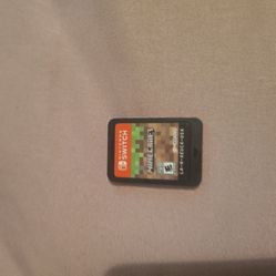 Nintendo Minecraft Game
