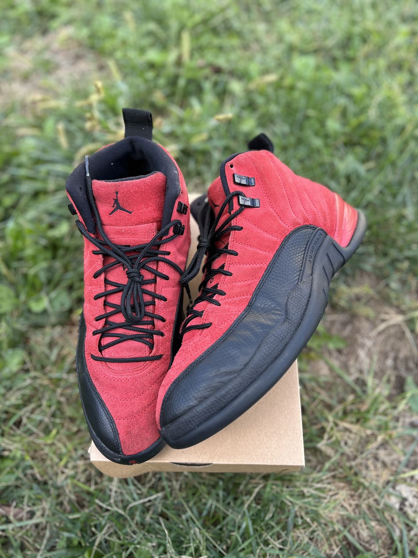 Jordan Retro 12 Size 12 