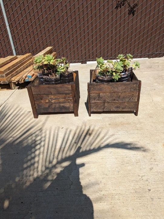 2 Planters With Succulents