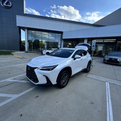 2025 Lexus NX