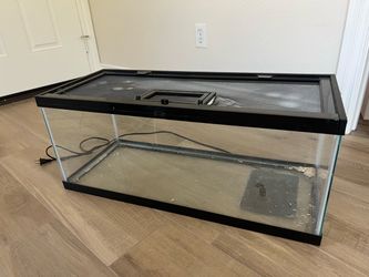 20 Gallon Glass Reptile Tank