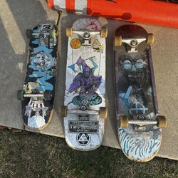 Skate Boards