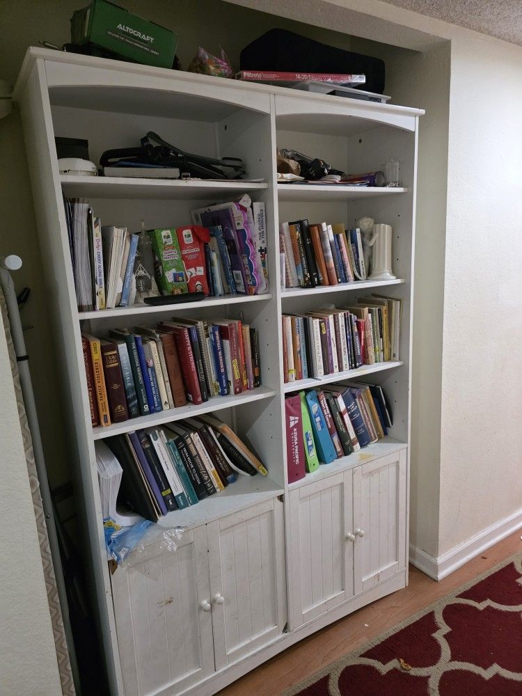 Library Shelf With Storage