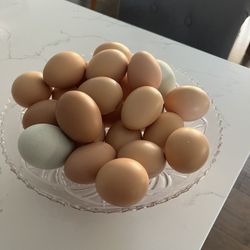 Farm Fresh Eggs