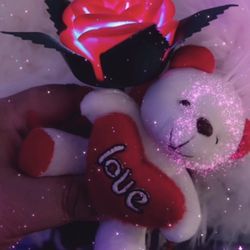 Plush With Light Up Rose 