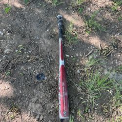 Bat