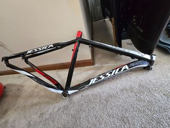Pristine Adult Large (18") 7005 Aluminum MTB Frame - Flawless Condition