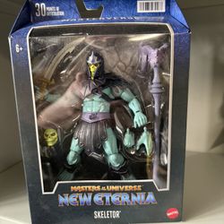 Masters Of The Universe Masterverse Skeletor 