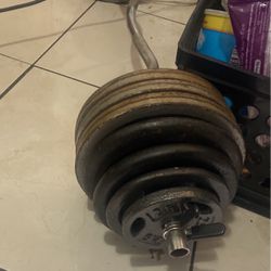 Weight And Bar Curl