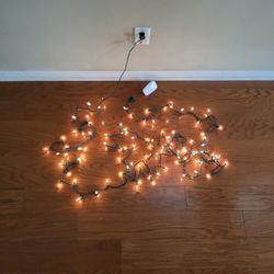 12' Strand Of Lights