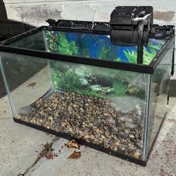 10 Gallon Fish Tank With Hood And Filter