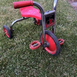 Toddler Bike 