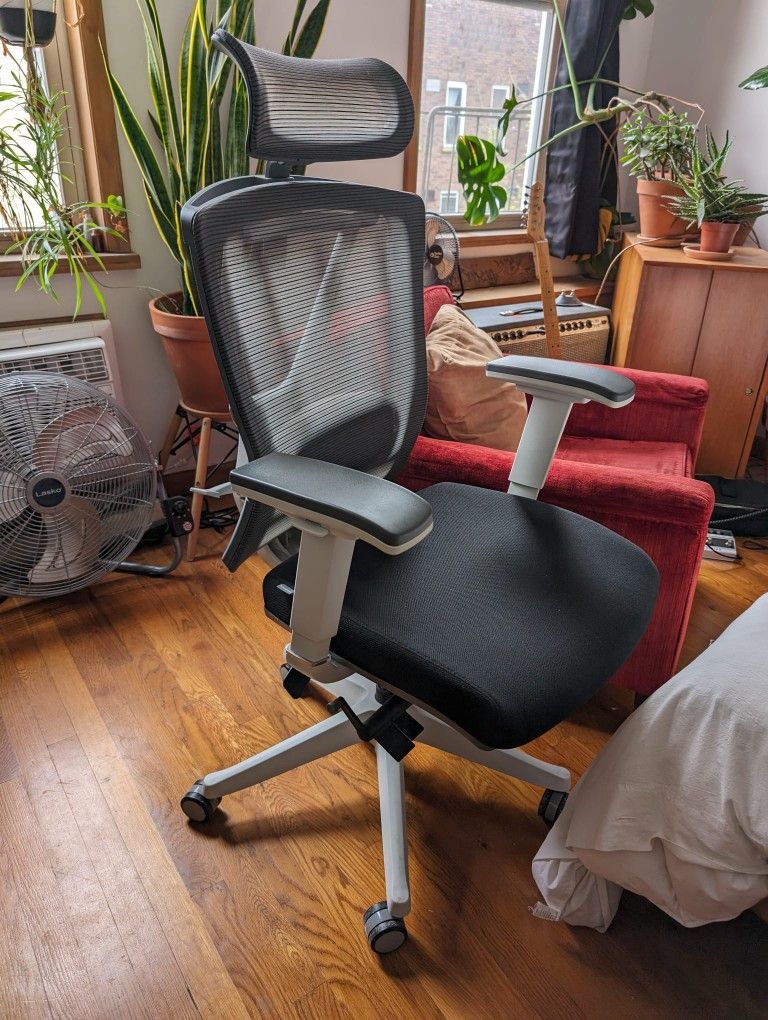 Autonomous Premium Ergonomic Office/Gaming Chair for Sale in New York