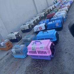 Dog Kennel 