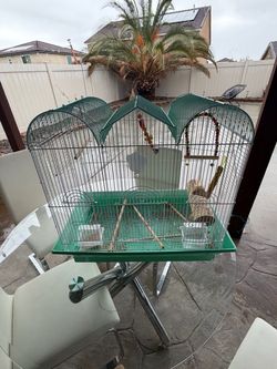 Bird cage