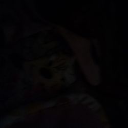 Pokemon Shining Pearl Nintendo Switch 