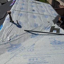 Profesional Roofer