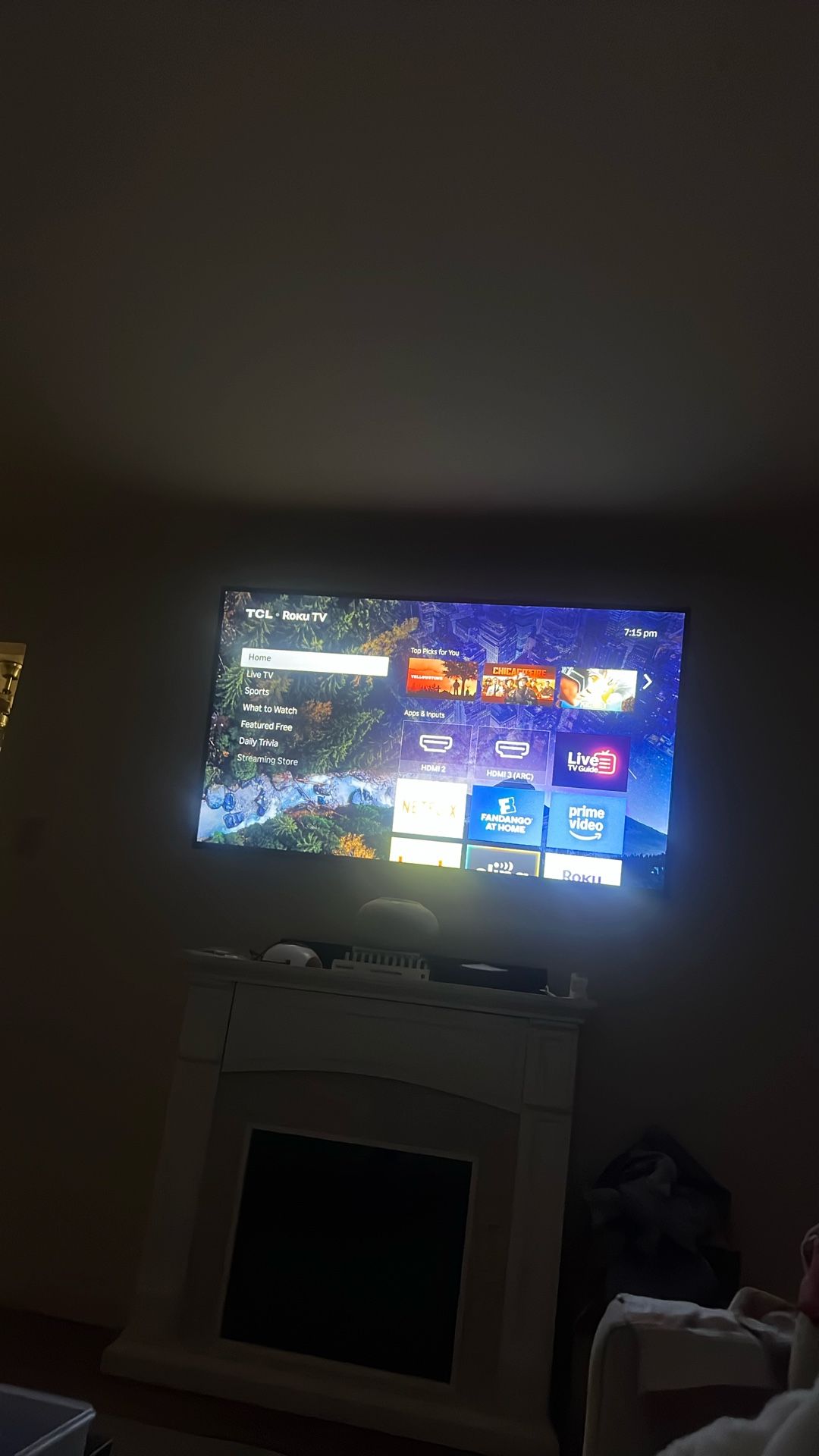 65 Inch TCL Ruku Tv
