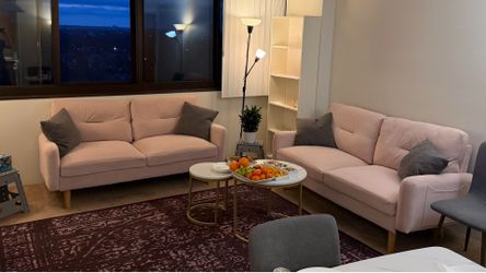 Like New 2-Piece Velvet Living Room Set – Barely Used!