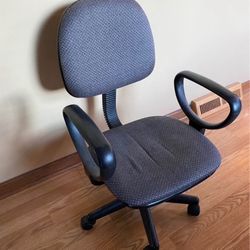 $10 COMPUTER CHAIR. No issues- just don’t need. Height adjusting lever for custom comfort.