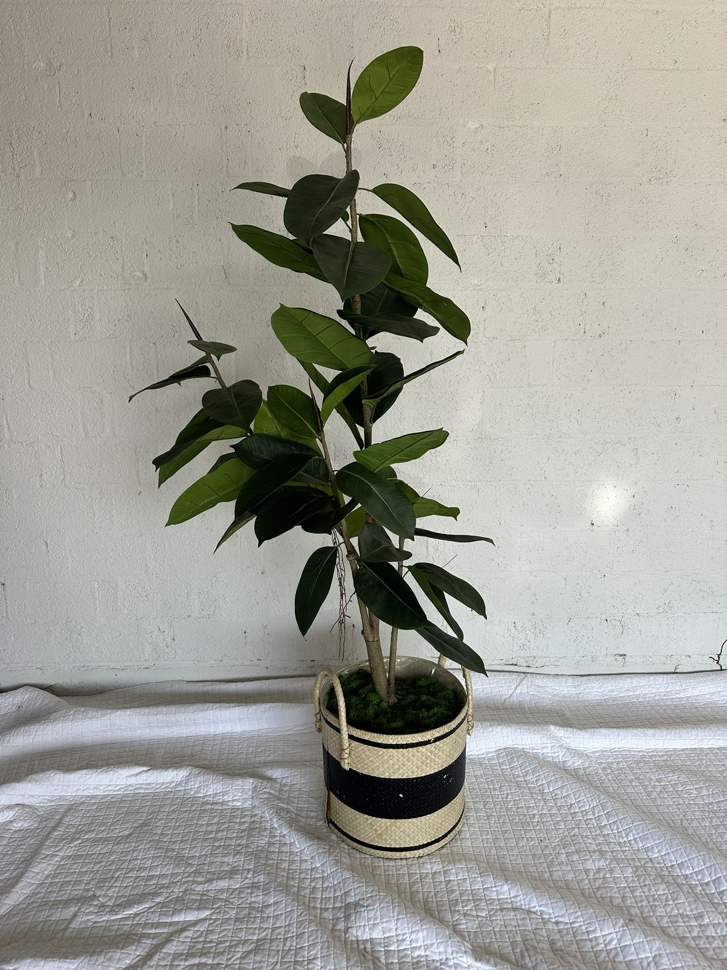 Large Faux Plant In Basket | Make Me An Offer!