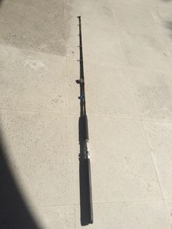 Fishing pole