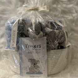 Baby Boy Gift Baskets 