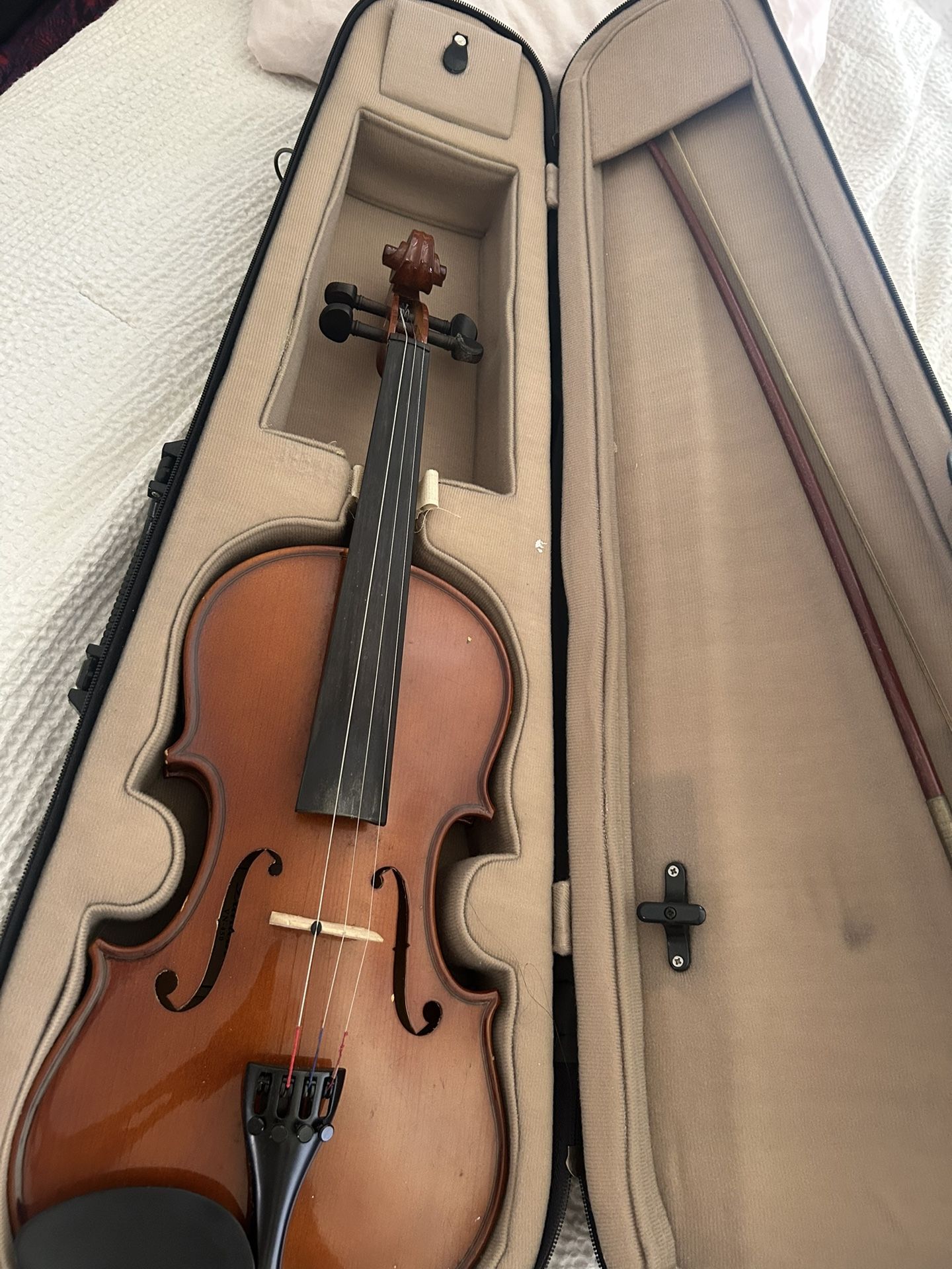 Violin