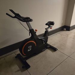 Exercise Bike (READ DESCRIPTION)