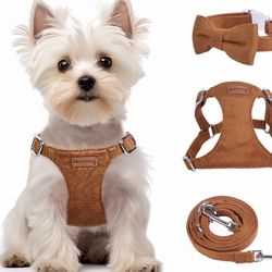 New Dog Harness And Collar/leash Set Sm X Sm