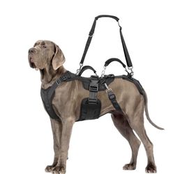 Dog Lift Harness, Dog Support & Recovery Sling for Full-Body & Hind/Front Leg – Pee-Able Design for Large/Medium Dogs – All-in-One Ideal Assistance fo