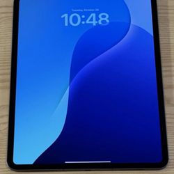 Ipad Pro M4 2024 WiFi + Cellular 